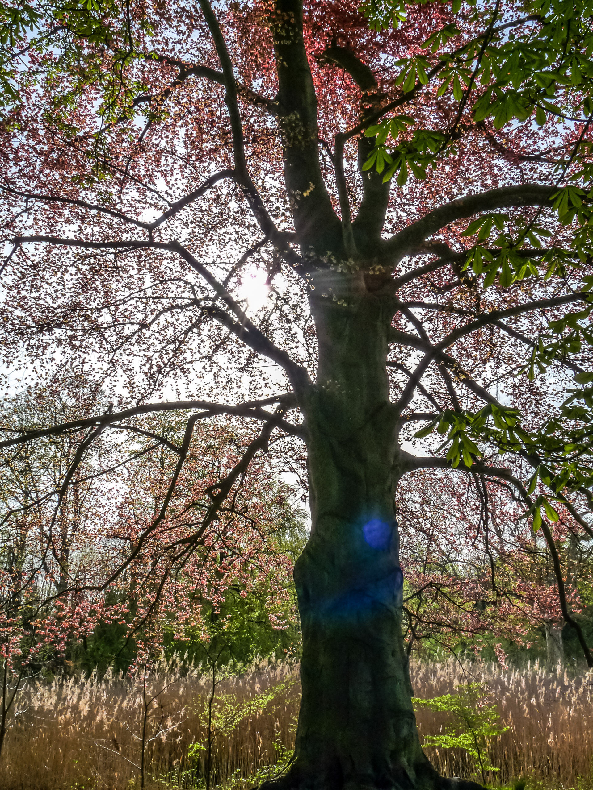 20180415092543 P1110091